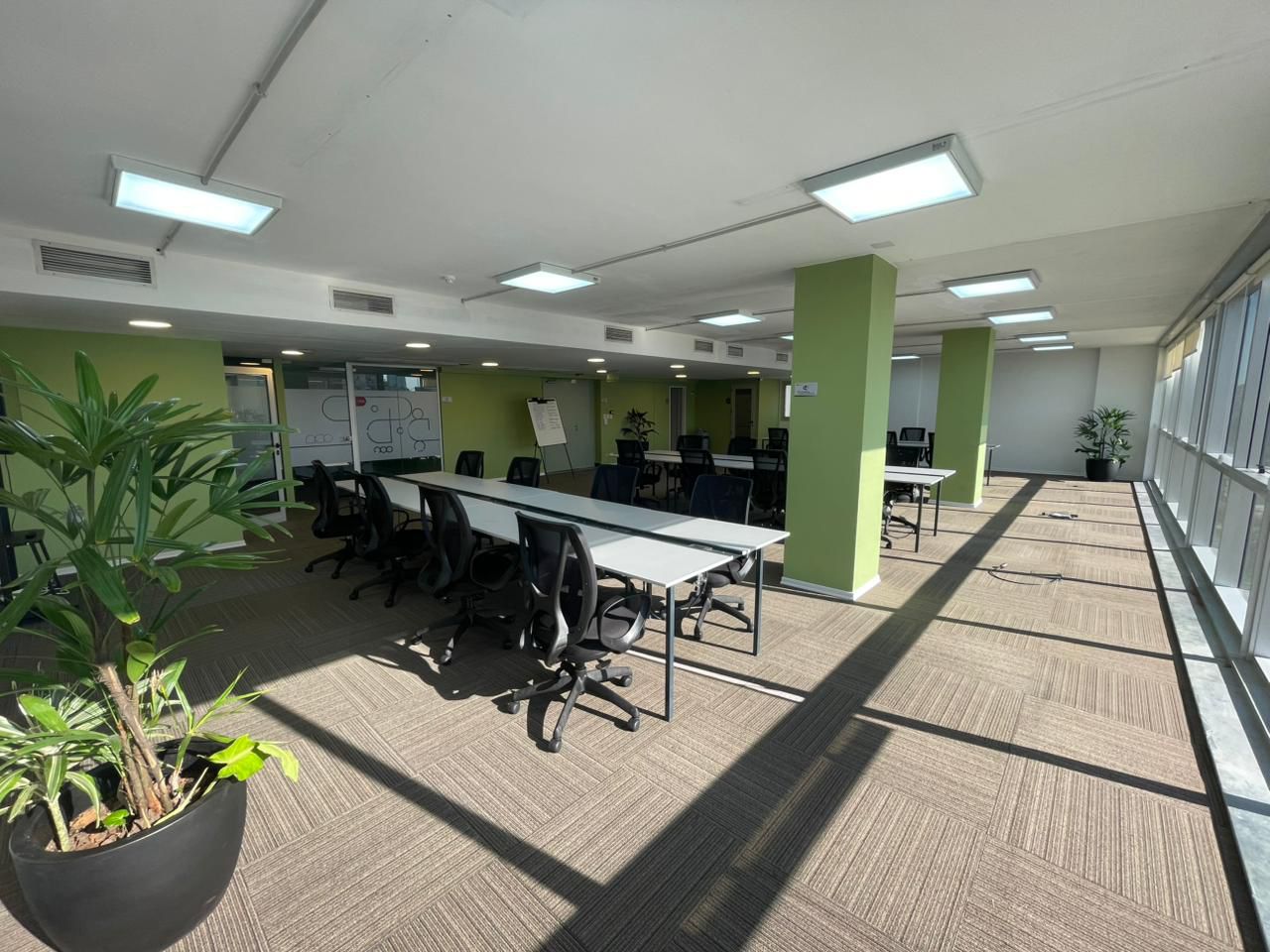 Oficina con columnas verdes